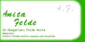 anita felde business card